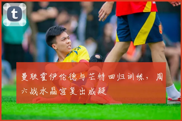 曼联霍伊伦德与芒特回归训练，周六战水晶宫复出成疑