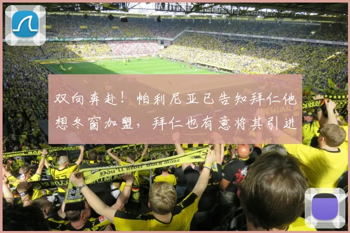 双向奔赴！帕利尼亚已告知拜仁他想冬窗加盟，拜仁也有意将其引进