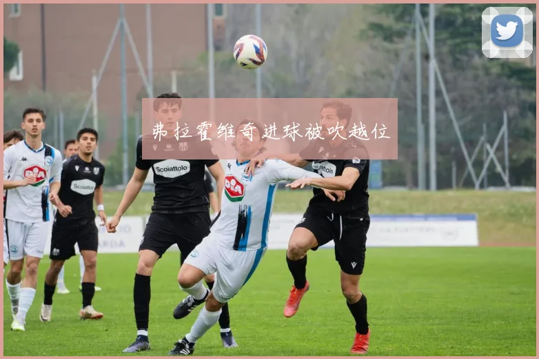 弗拉霍维奇进球被吹越位