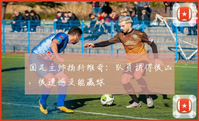 国足主帅扬科维奇：队员拼得很凶，很遗憾没能赢球