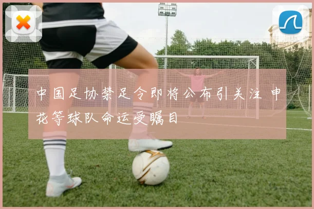 中国足协禁足令即将公布引关注 申花等球队命运受瞩目